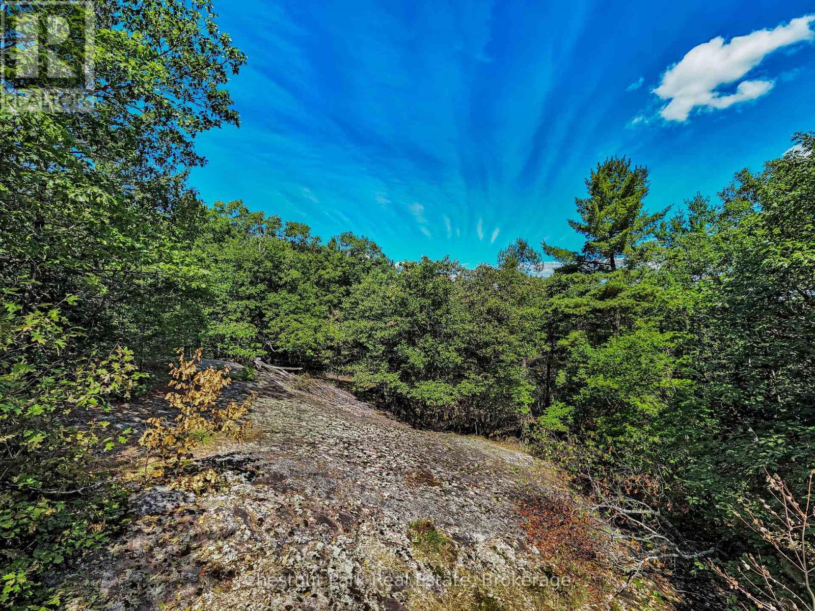 0 Langford Road, Lake Of Bays, Ontario  P0B 1A0 - Photo 13 - X12362114