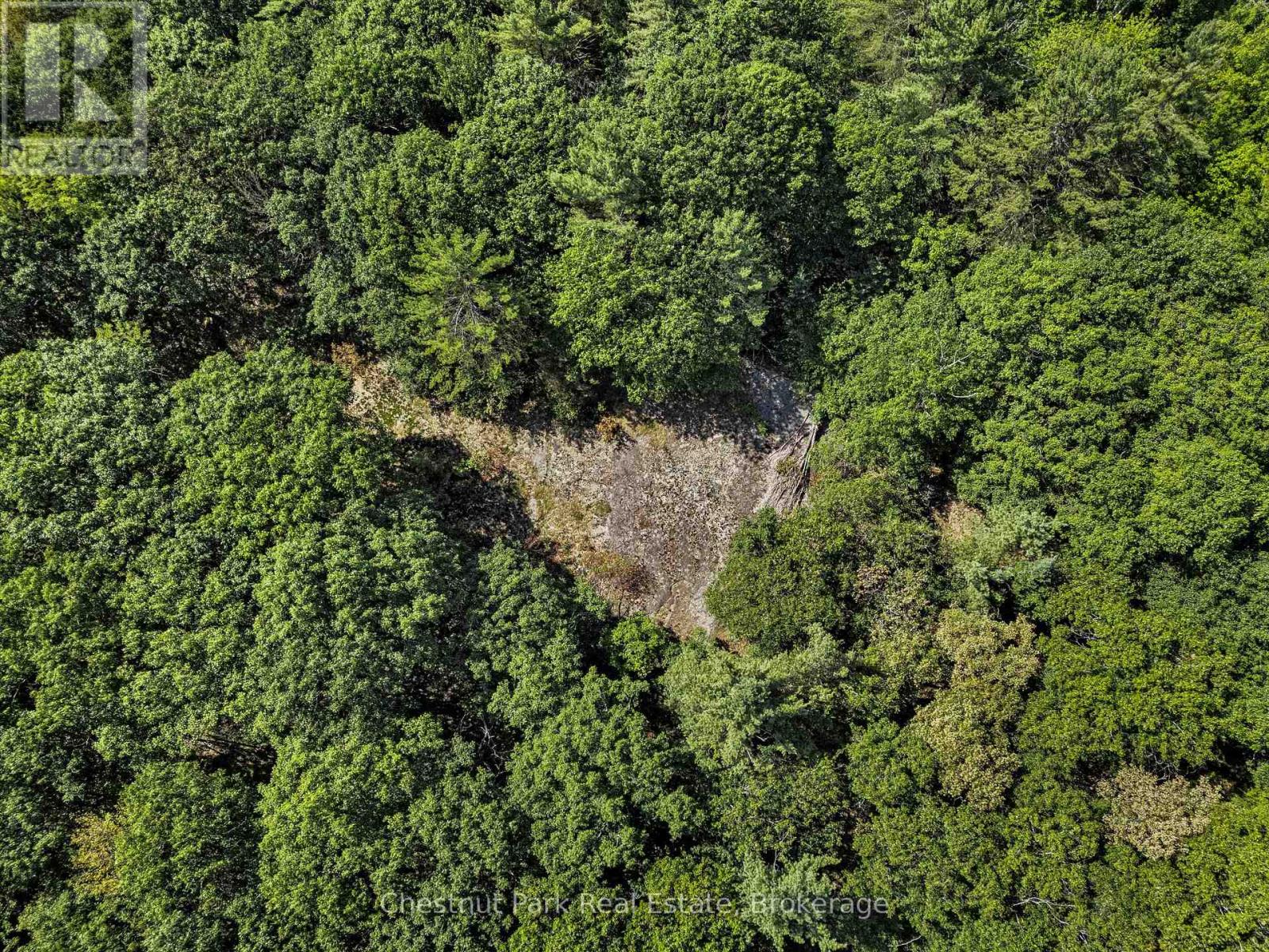 0 Langford Road, Lake Of Bays, Ontario  P0B 1A0 - Photo 15 - X12362114