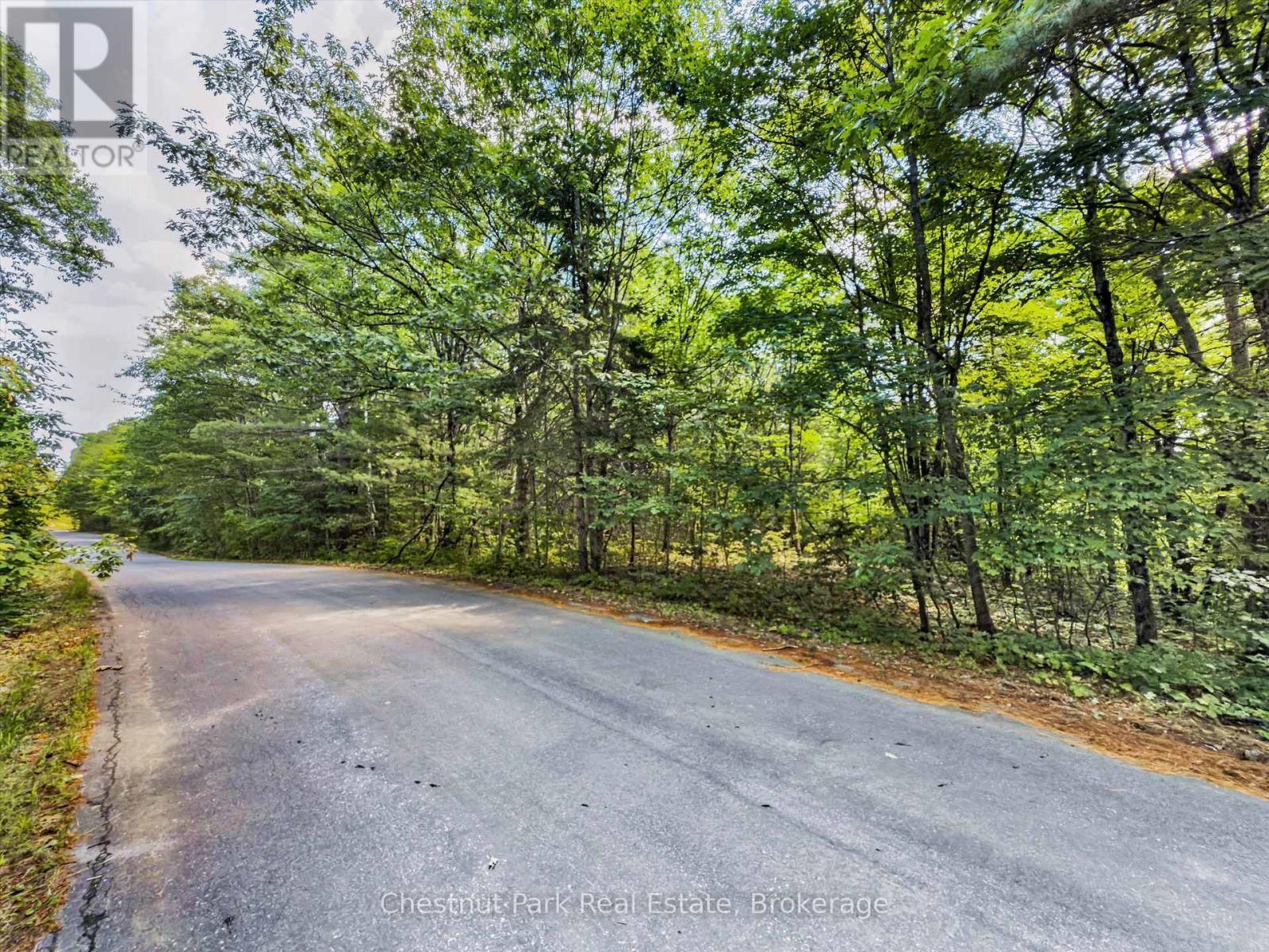 0 Langford Road, Lake Of Bays, Ontario  P0B 1A0 - Photo 8 - X12362114