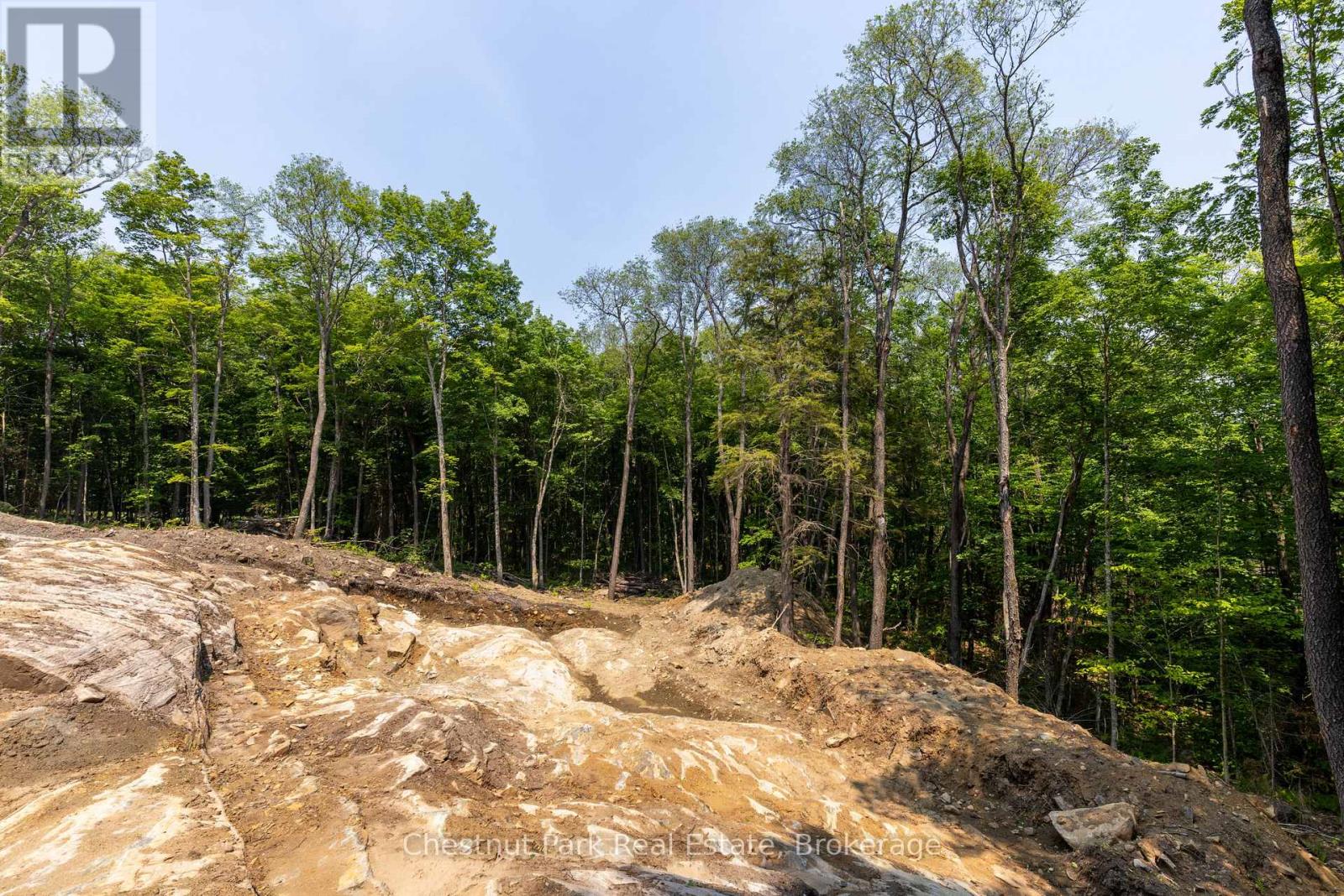 2212 Aspdin Road, Huntsville, Ontario  P0B 1M0 - Photo 10 - X12368571