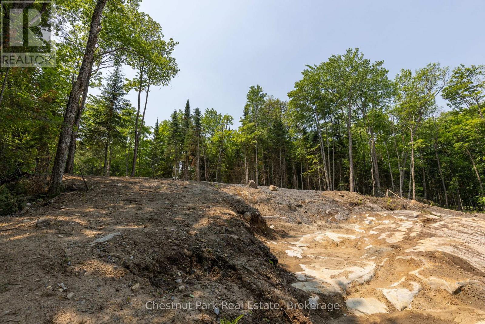 2212 Aspdin Road, Huntsville, Ontario  P0B 1M0 - Photo 11 - X12368571