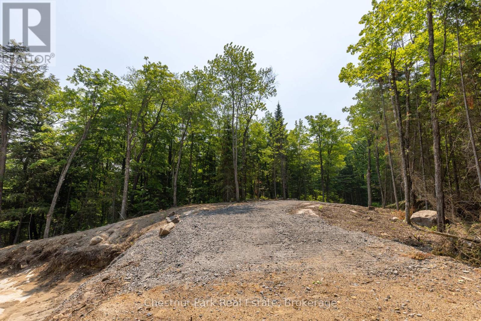 2212 Aspdin Road, Huntsville, Ontario  P0B 1M0 - Photo 16 - X12368571