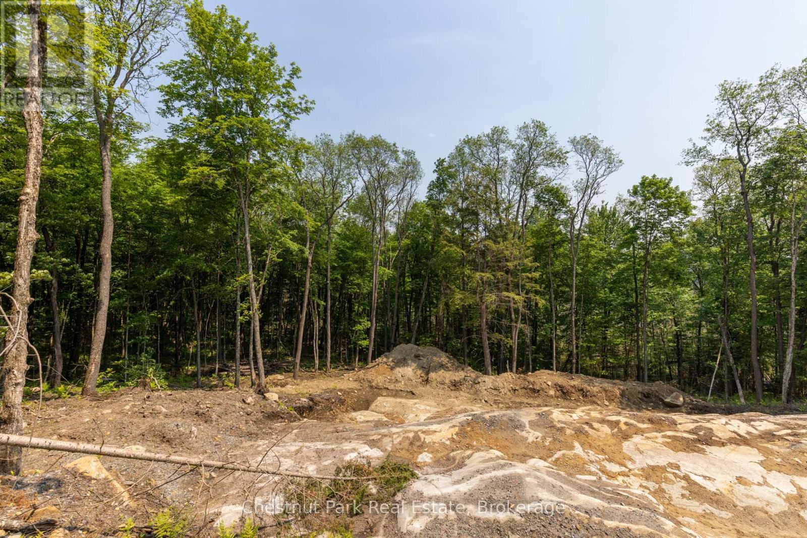 2212 Aspdin Road, Huntsville, Ontario  P0B 1M0 - Photo 17 - X12368571