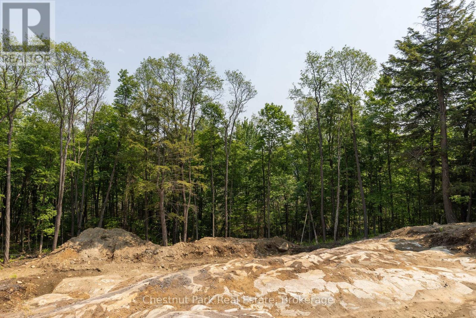 2212 Aspdin Road, Huntsville, Ontario  P0B 1M0 - Photo 18 - X12368571