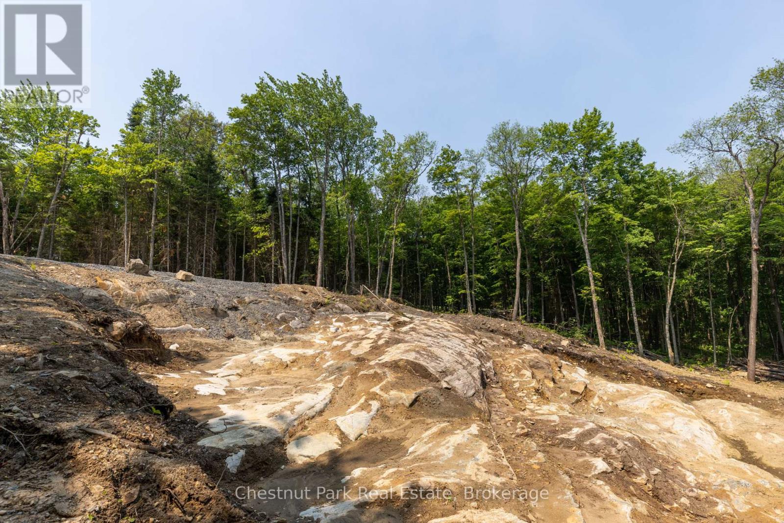 2212 Aspdin Road, Huntsville, Ontario  P0B 1M0 - Photo 9 - X12368571