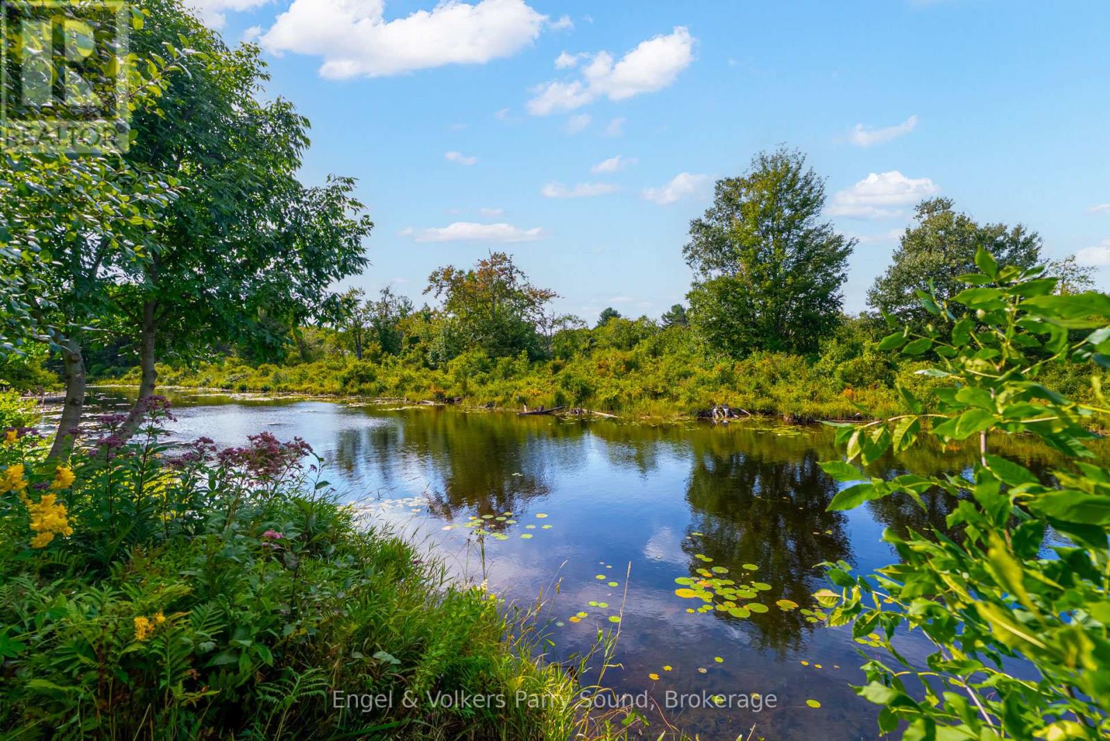 54 River Street, Parry Sound, Ontario  P2A 2T6 - Photo 41 - X12370021
