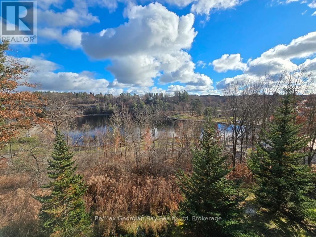 206 - 10a Kimberley Avenue, Bracebridge, Ontario  P1L 0A6 - Photo 5 - X12372103