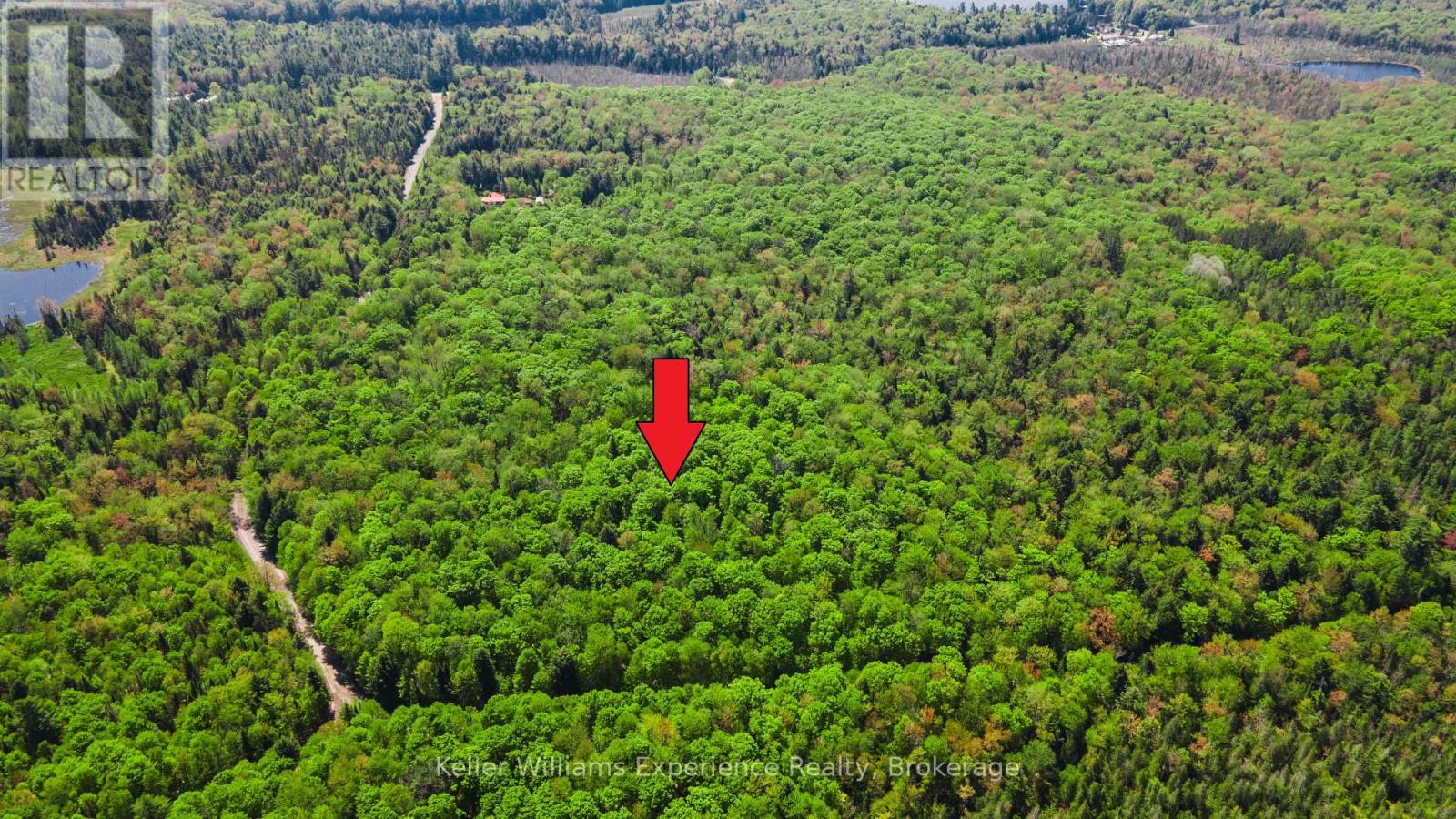 0 Healey Lake Road, Bracebridge, Ontario  P1L 1X3 - Photo 1 - X12376386