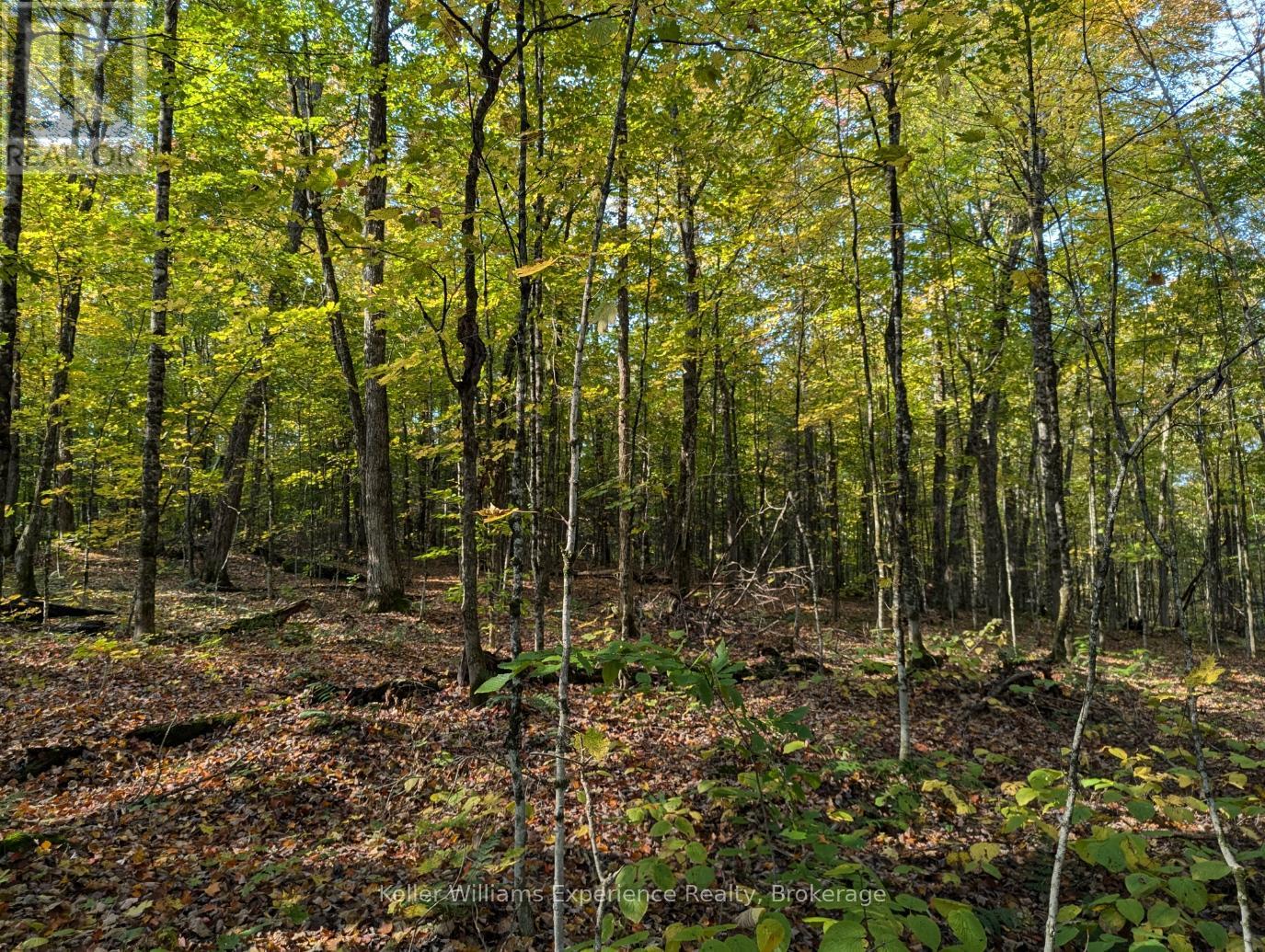 0 Healey Lake Road, Bracebridge, Ontario  P1L 1X3 - Photo 5 - X12376386