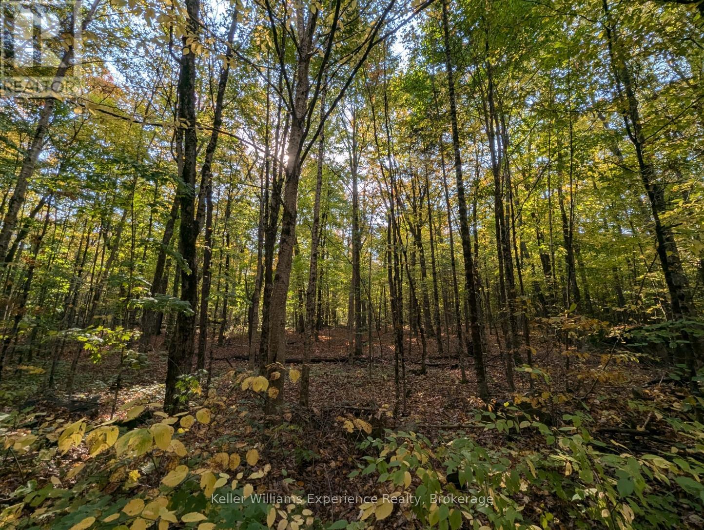 0 Healey Lake Road, Bracebridge, Ontario  P1L 1X3 - Photo 6 - X12376386
