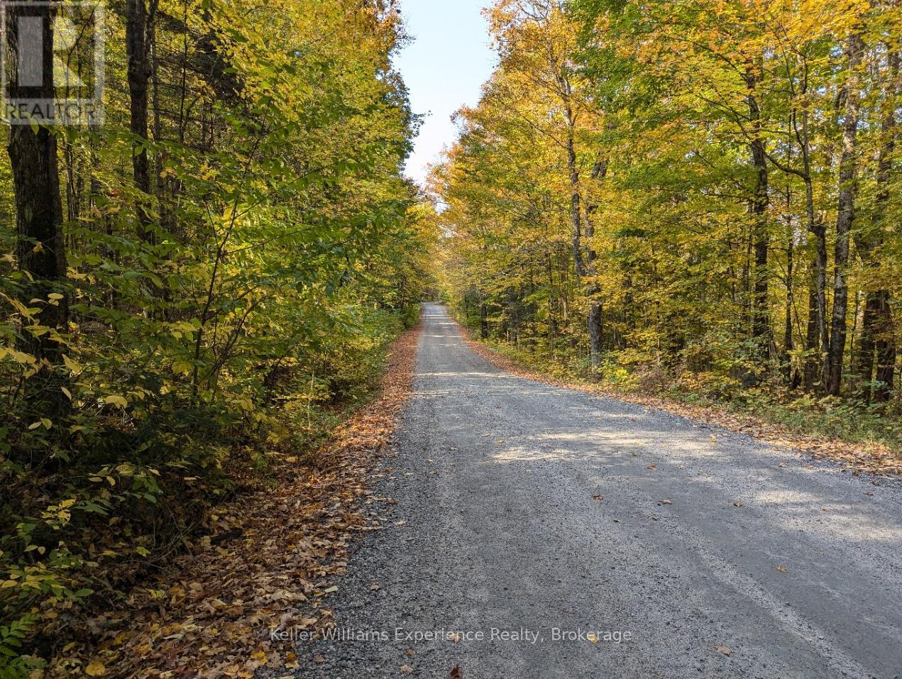 0 Healey Lake Road, Bracebridge, Ontario  P1L 1X3 - Photo 7 - X12376386