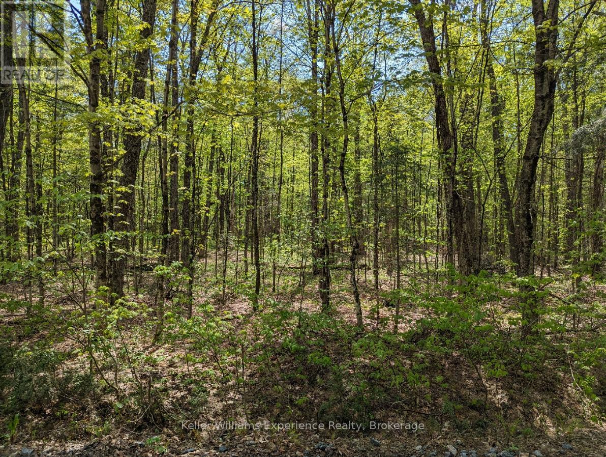 0 Healey Lake Road, Bracebridge, Ontario  P1L 1X3 - Photo 8 - X12376386