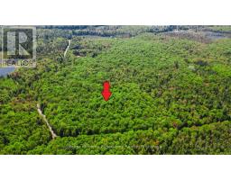 0 HEALEY LAKE ROAD, Bracebridge, Ontario