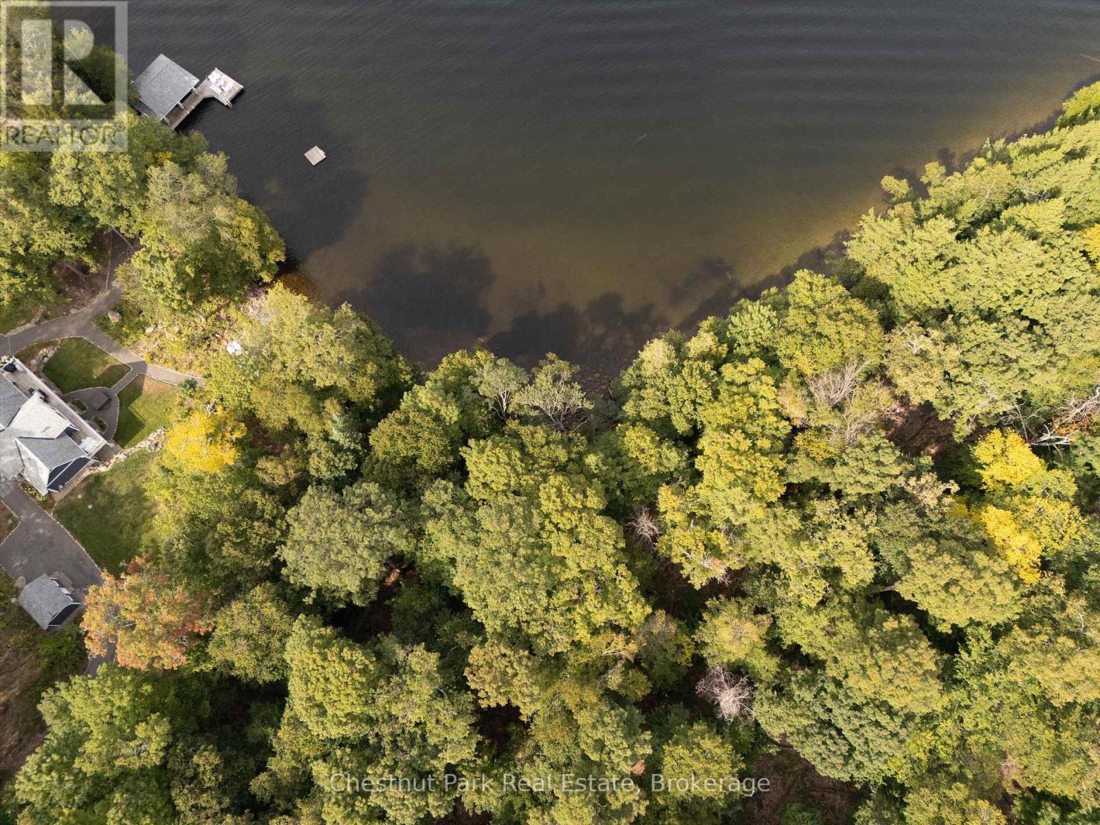 300 Bigwin Island, Lake Of Bays, Ontario  P0B 1A0 - Photo 16 - X12376853