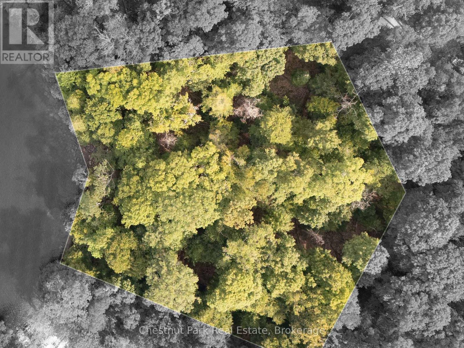 300 Bigwin Island, Lake Of Bays, Ontario  P0B 1A0 - Photo 17 - X12376853