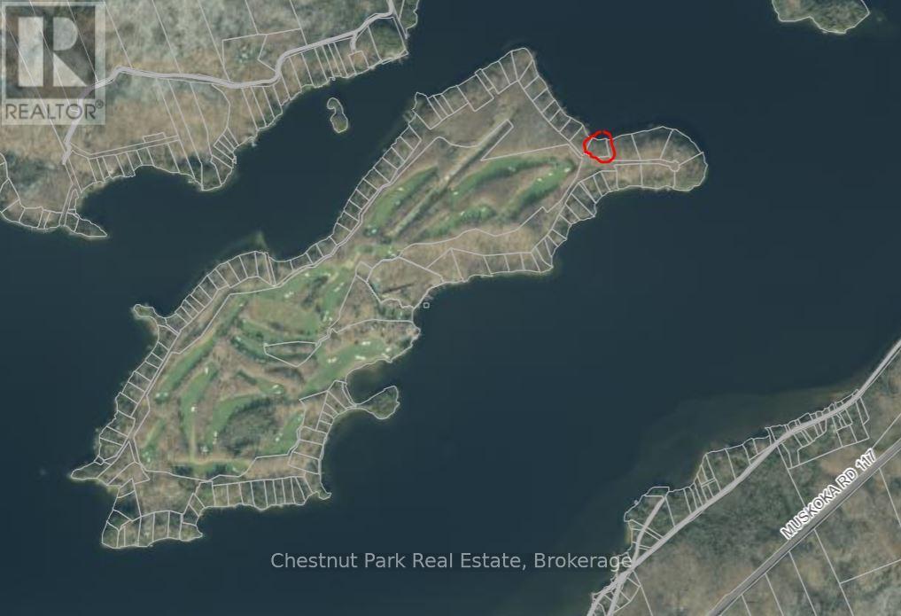 300 Bigwin Island, Lake Of Bays, Ontario  P0B 1A0 - Photo 2 - X12376853