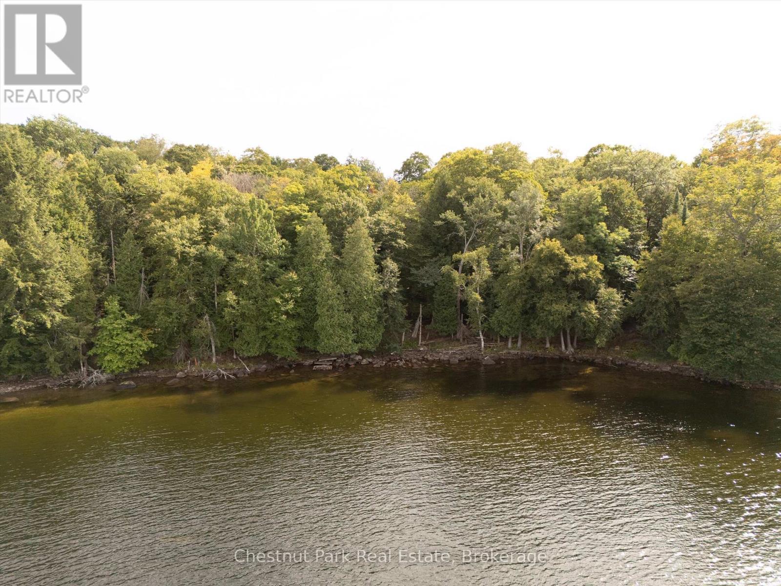 300 Bigwin Island, Lake Of Bays, Ontario  P0B 1A0 - Photo 6 - X12376853