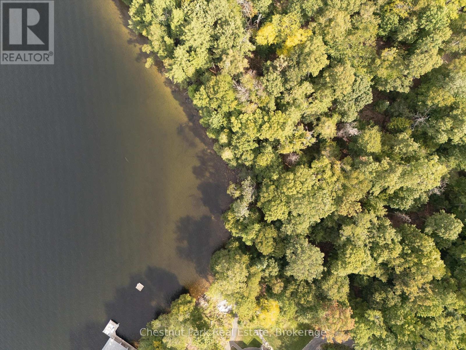 300 Bigwin Island, Lake Of Bays, Ontario  P0B 1A0 - Photo 8 - X12376853