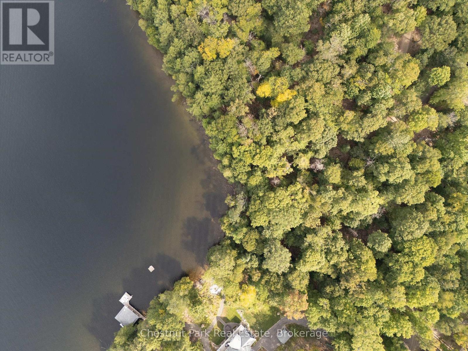 300 Bigwin Island, Lake Of Bays, Ontario  P0B 1A0 - Photo 9 - X12376853