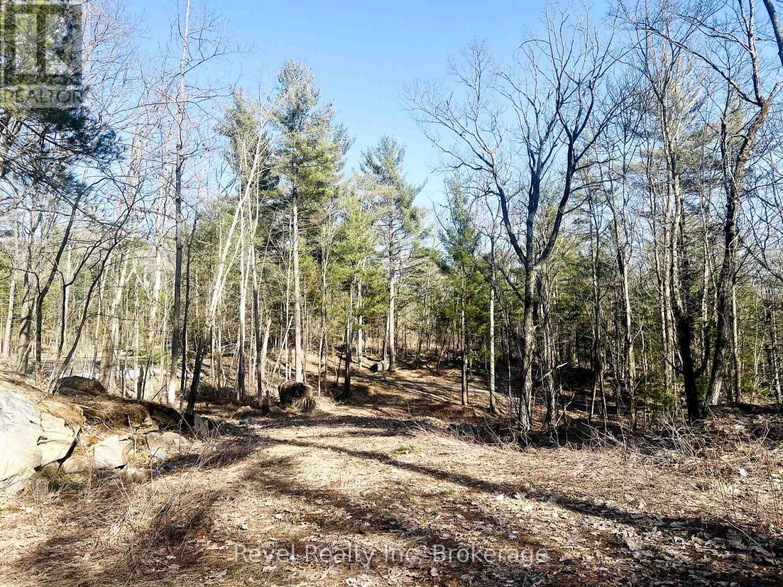 88 Louisa Street, Parry Sound, Ontario  P2A 3C1 - Photo 10 - X12377641