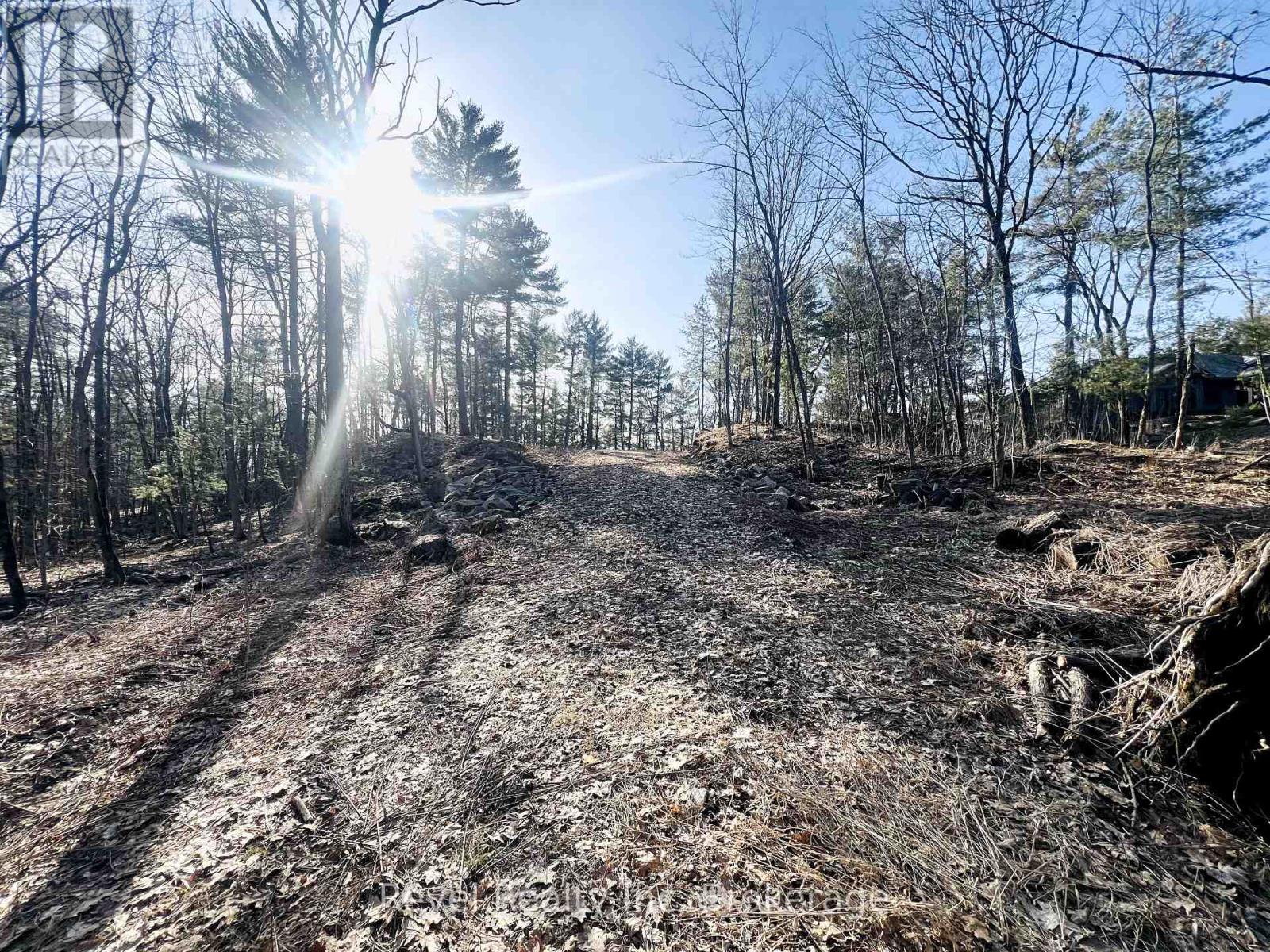 88 Louisa Street, Parry Sound, Ontario  P2A 3C1 - Photo 11 - X12377641