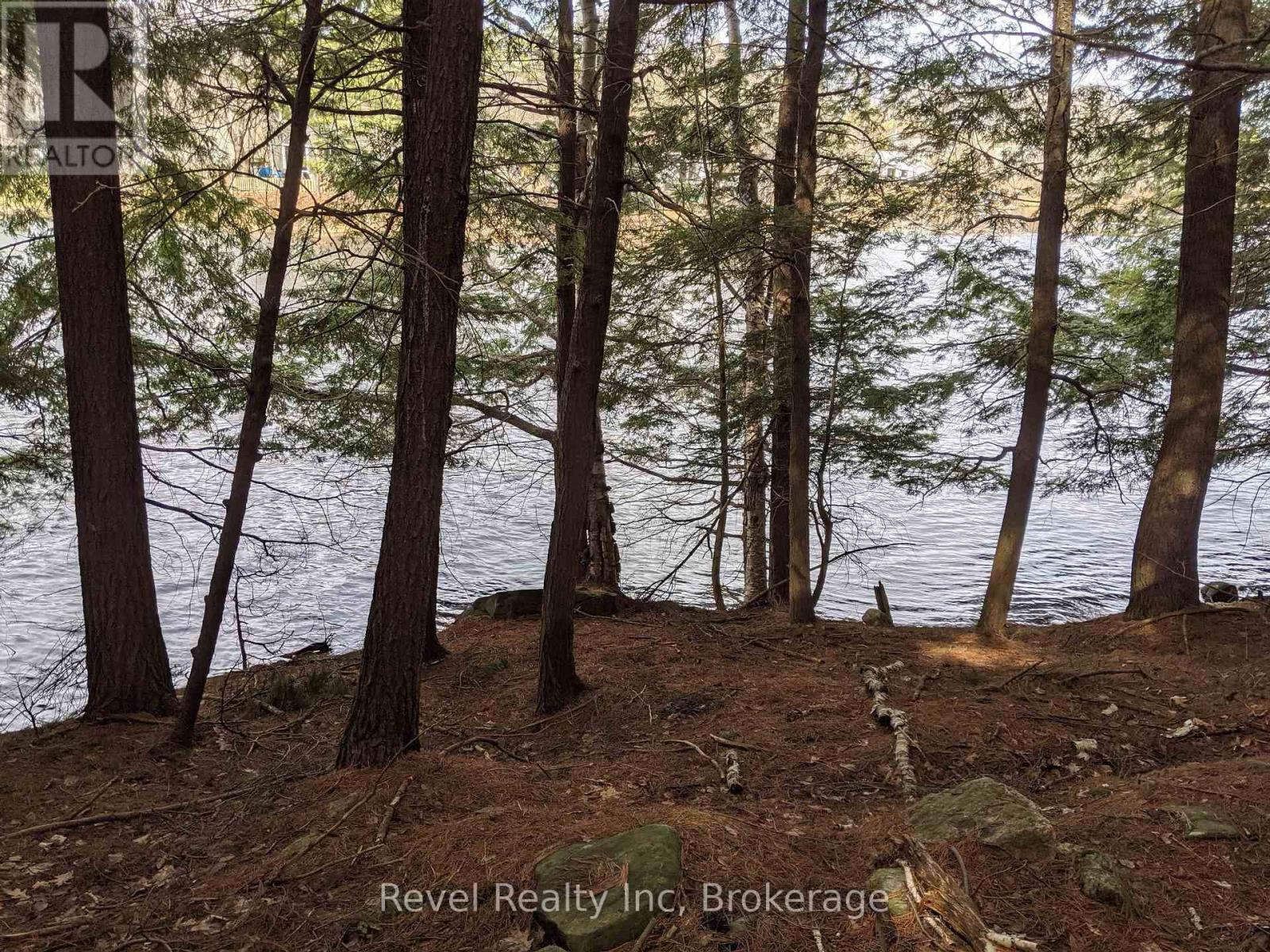 88 Louisa Street, Parry Sound, Ontario  P2A 3C1 - Photo 3 - X12377641