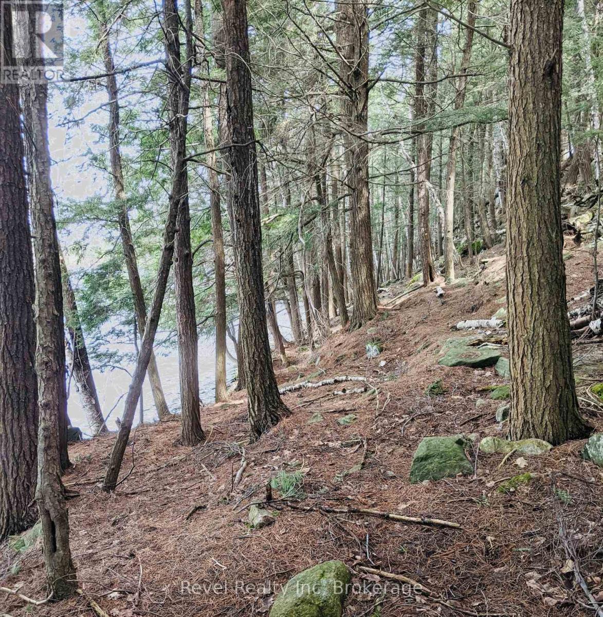 88 Louisa Street, Parry Sound, Ontario  P2A 3C1 - Photo 5 - X12377641