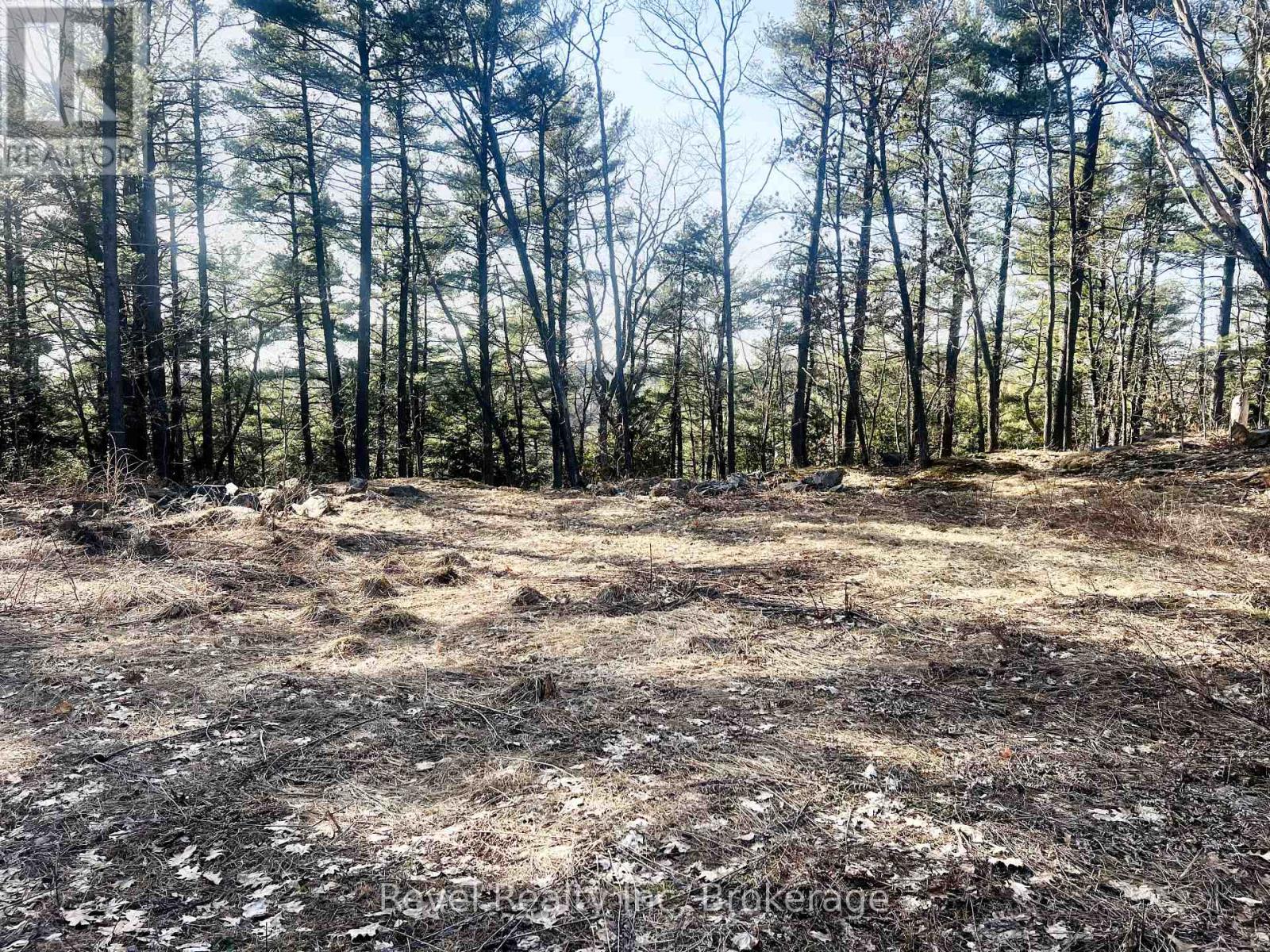 88 Louisa Street, Parry Sound, Ontario  P2A 3C1 - Photo 6 - X12377641