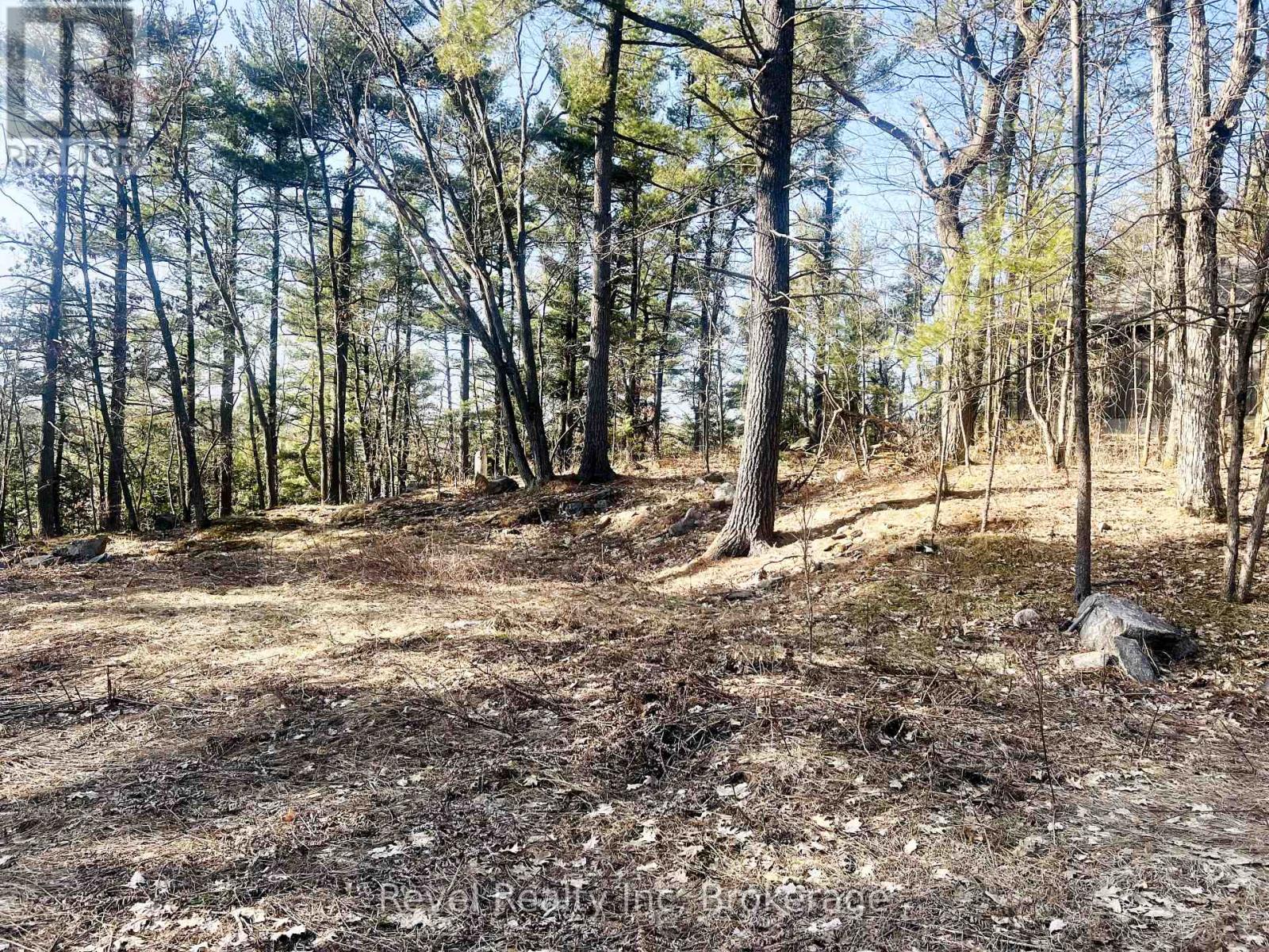 88 Louisa Street, Parry Sound, Ontario  P2A 3C1 - Photo 7 - X12377641