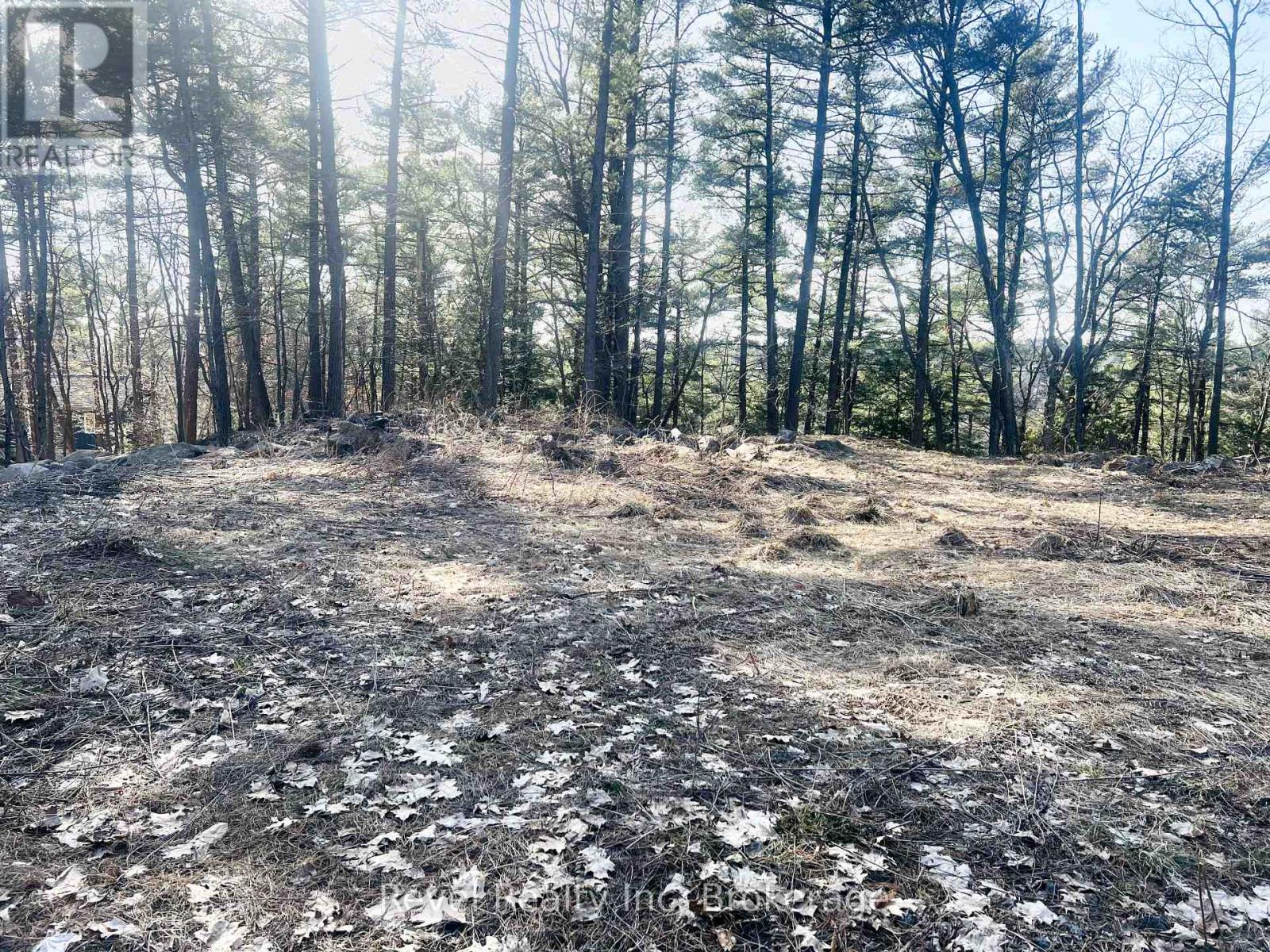 88 Louisa Street, Parry Sound, Ontario  P2A 3C1 - Photo 8 - X12377641