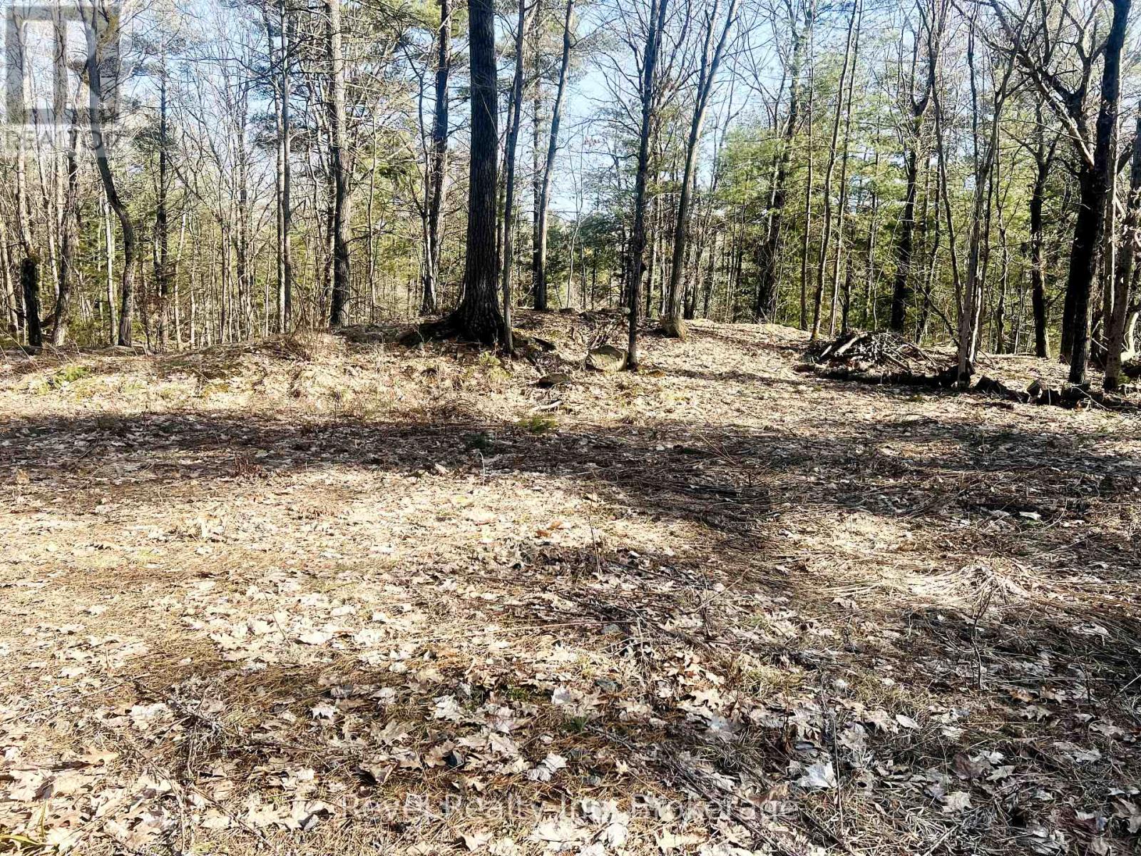 88 Louisa Street, Parry Sound, Ontario  P2A 3C1 - Photo 9 - X12377641