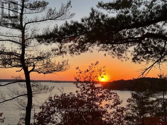 L204-D2 - 1869 Muskoka 118 Highway W, Muskoka Lakes, Ontario  P1L 1W8 - Photo 2 - X12380205