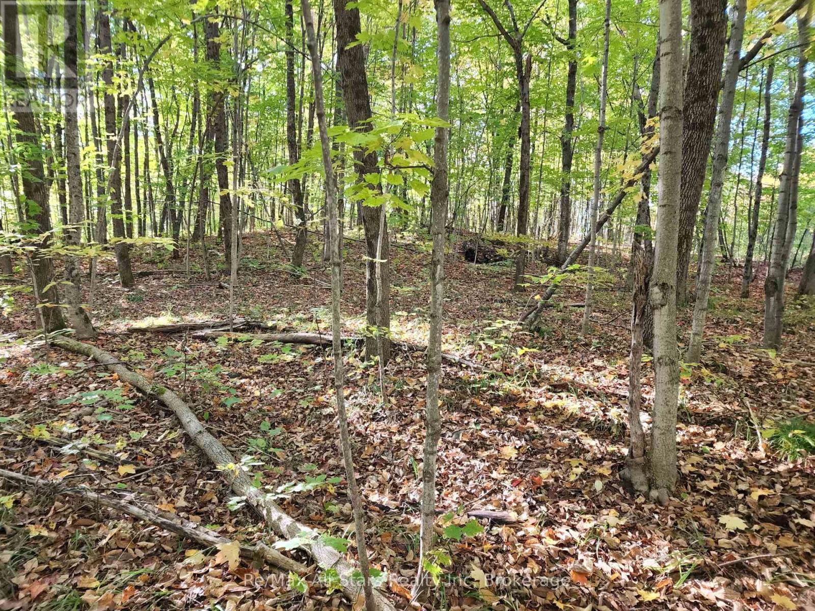 A Tally Ho Winter Park Road, Lake Of Bays, Ontario  P1H 2J6 - Photo 11 - X12382112