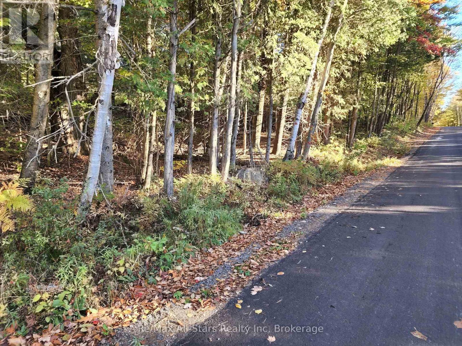 A Tally Ho Winter Park Road, Lake Of Bays, Ontario  P1H 2J6 - Photo 9 - X12382112