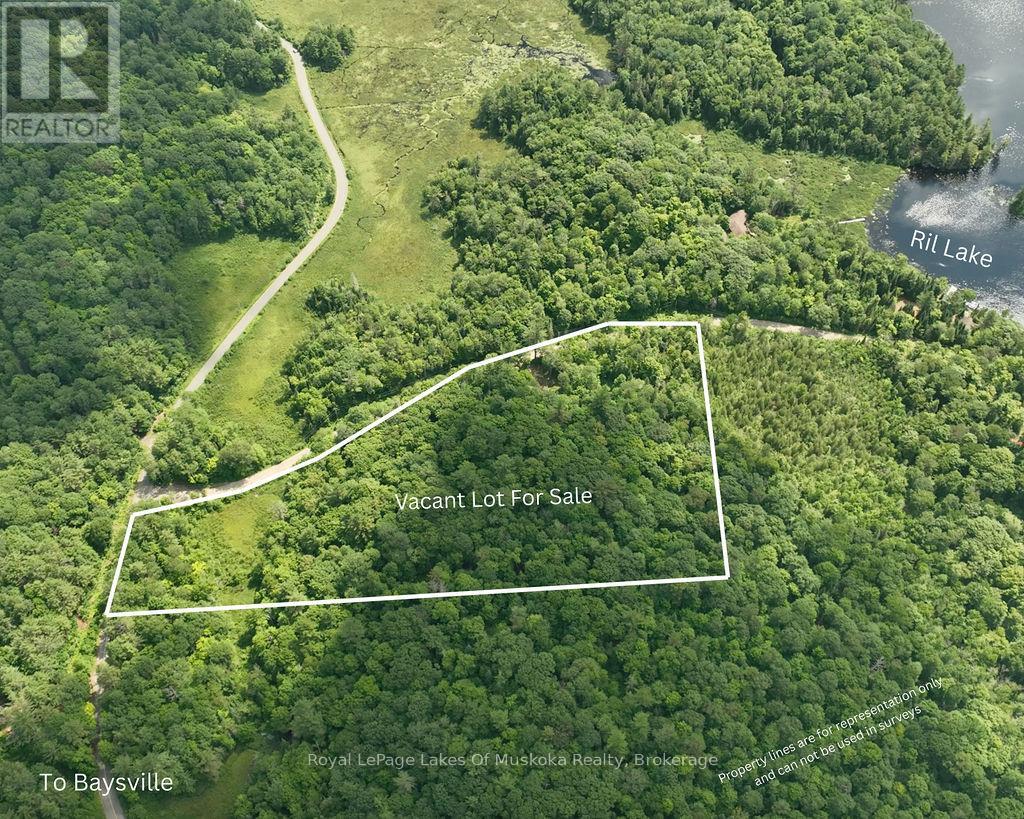 0000 Ril Lake Road, Lake Of Bays, Ontario  P0B 1A0 - Photo 1 - X12384421