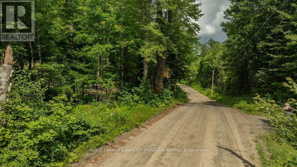 0000 Ril Lake Road, Lake Of Bays, Ontario  P0B 1A0 - Photo 3 - X12384421