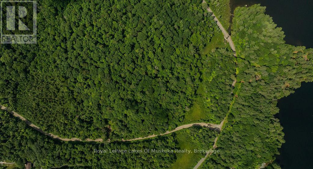 0000 Ril Lake Road, Lake Of Bays, Ontario  P0B 1A0 - Photo 5 - X12384421