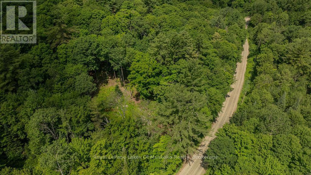 0000 Ril Lake Road, Lake Of Bays, Ontario  P0B 1A0 - Photo 6 - X12384421