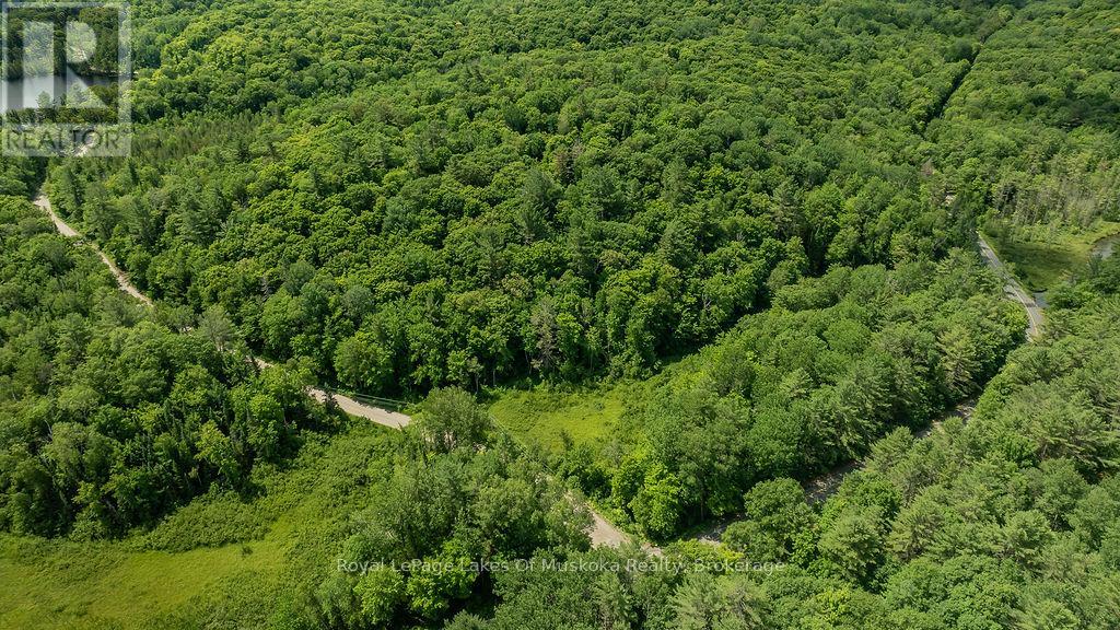 0000 Ril Lake Road, Lake Of Bays, Ontario  P0B 1A0 - Photo 7 - X12384421