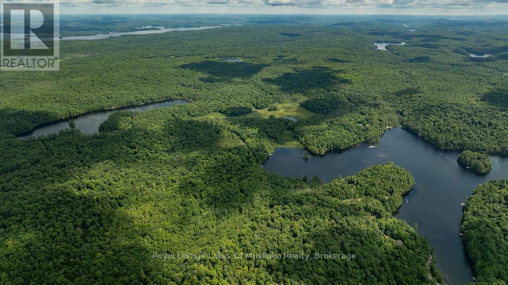 0000 Ril Lake Road, Lake Of Bays, Ontario  P0B 1A0 - Photo 8 - X12384421