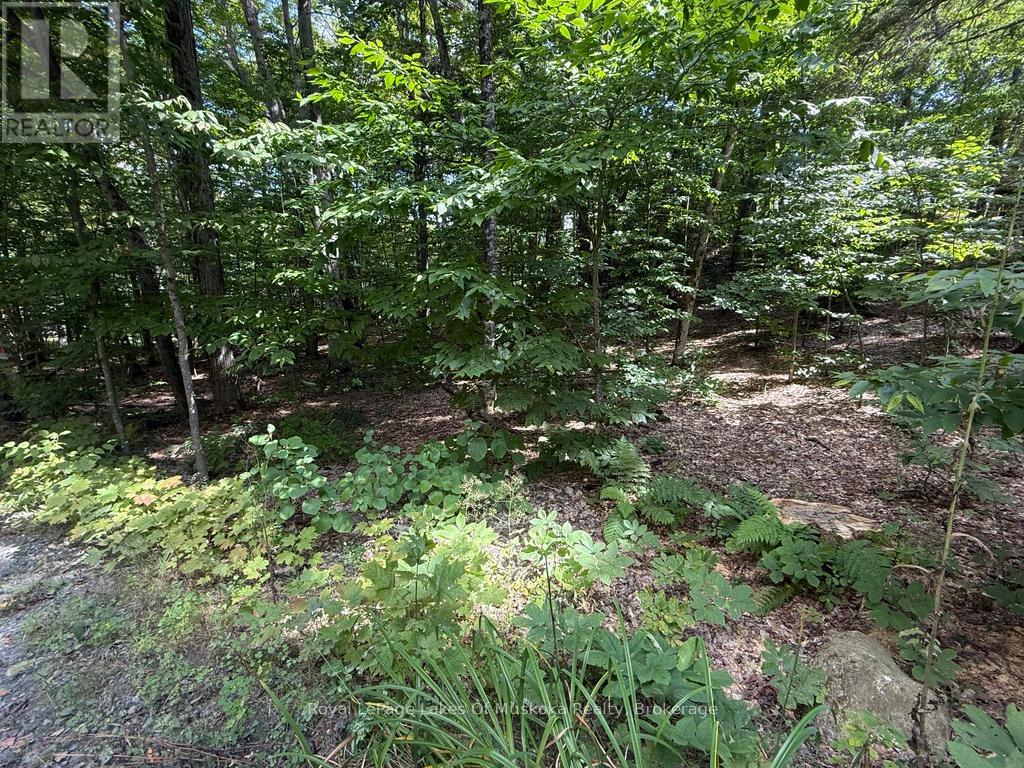 Lot 85 Brennan Circle, Huntsville, Ontario  P1H 2J2 - Photo 1 - X12384944