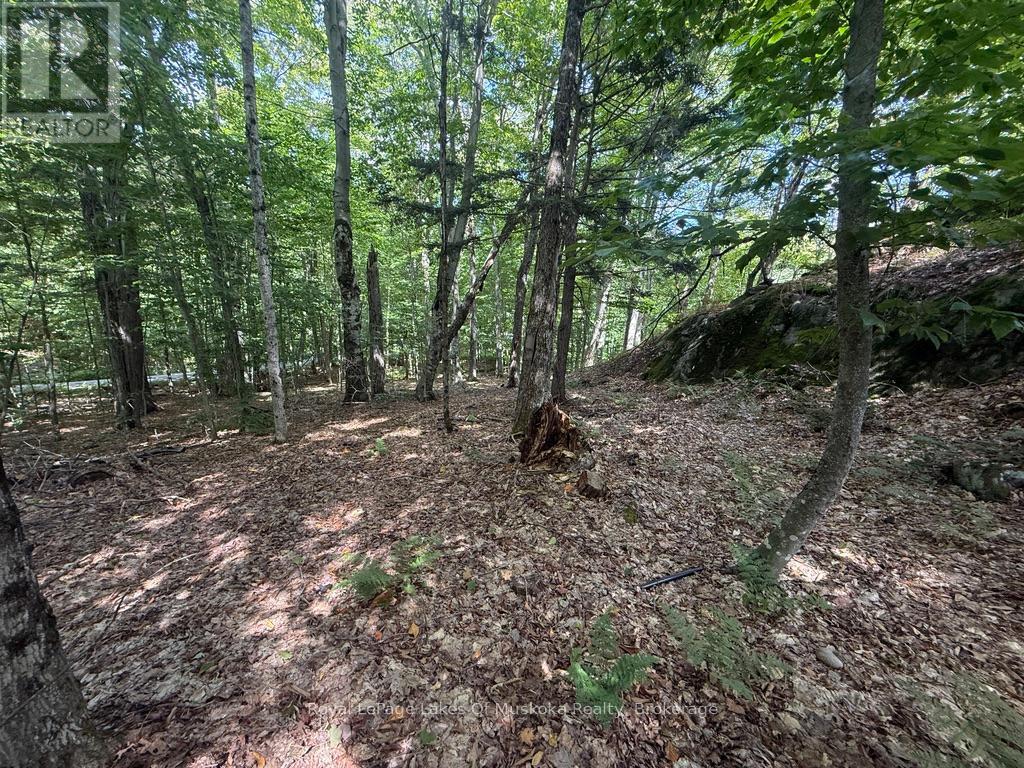 Lot 85 Brennan Circle, Huntsville, Ontario  P1H 2J2 - Photo 10 - X12384944