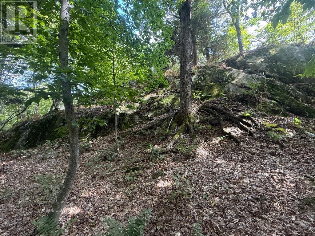 Lot 85 Brennan Circle, Huntsville, Ontario  P1H 2J2 - Photo 11 - X12384944