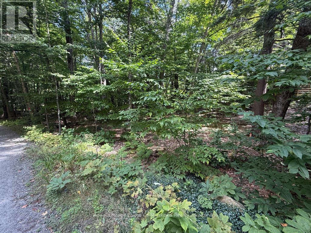 Lot 85 Brennan Circle, Huntsville, Ontario  P1H 2J2 - Photo 2 - X12384944