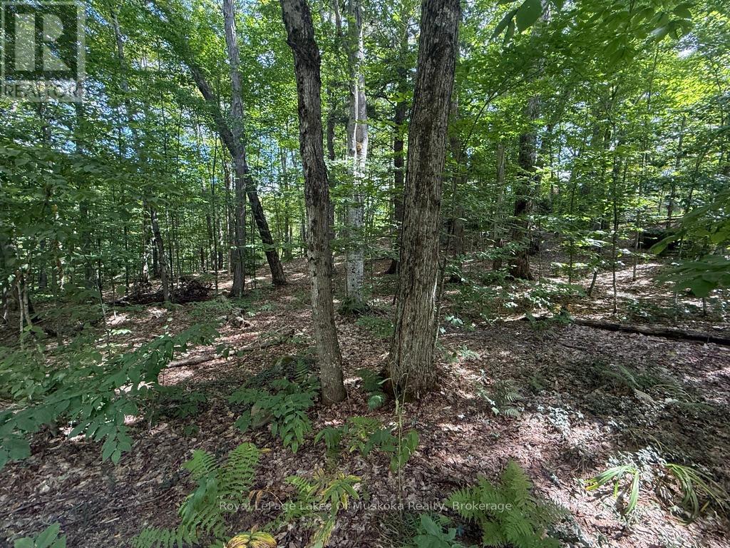 Lot 85 Brennan Circle, Huntsville, Ontario  P1H 2J2 - Photo 3 - X12384944
