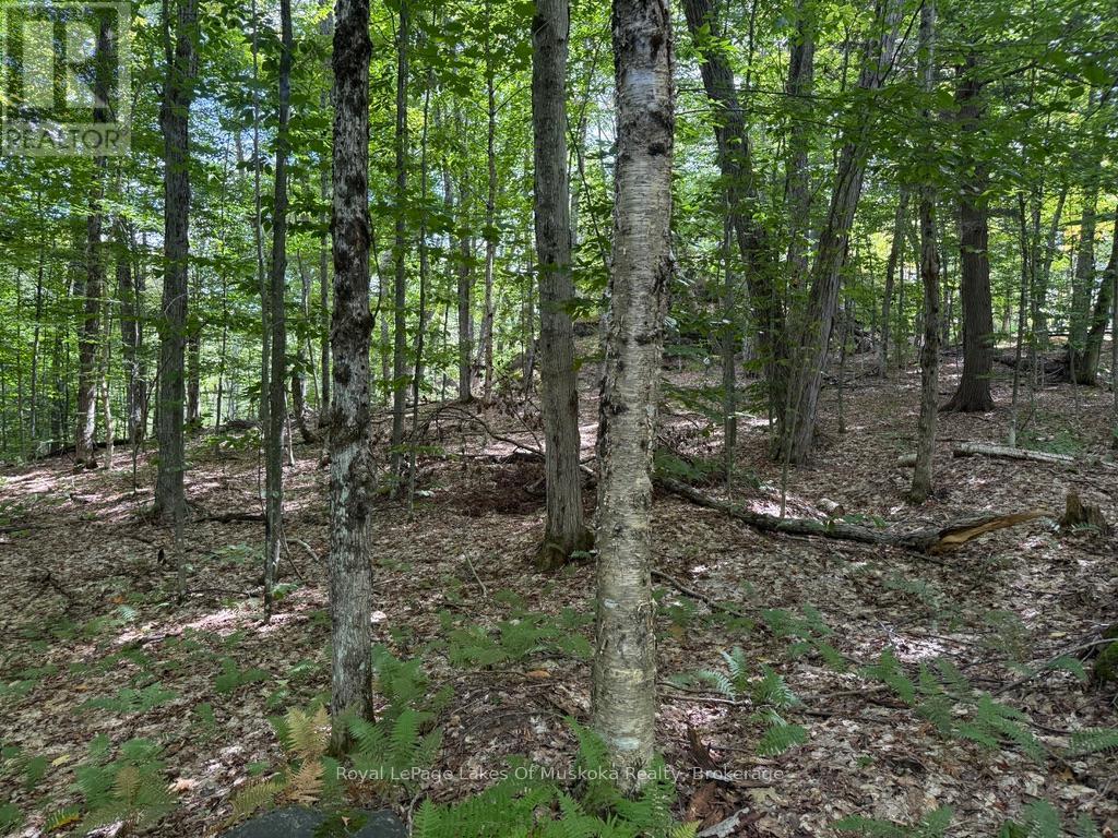 Lot 85 Brennan Circle, Huntsville, Ontario  P1H 2J2 - Photo 4 - X12384944