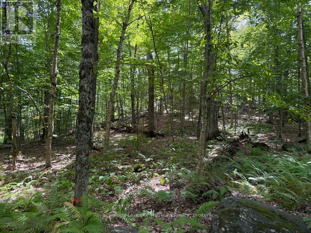 Lot 85 Brennan Circle, Huntsville, Ontario  P1H 2J2 - Photo 5 - X12384944