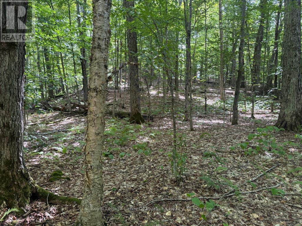 Lot 85 Brennan Circle, Huntsville, Ontario  P1H 2J2 - Photo 6 - X12384944