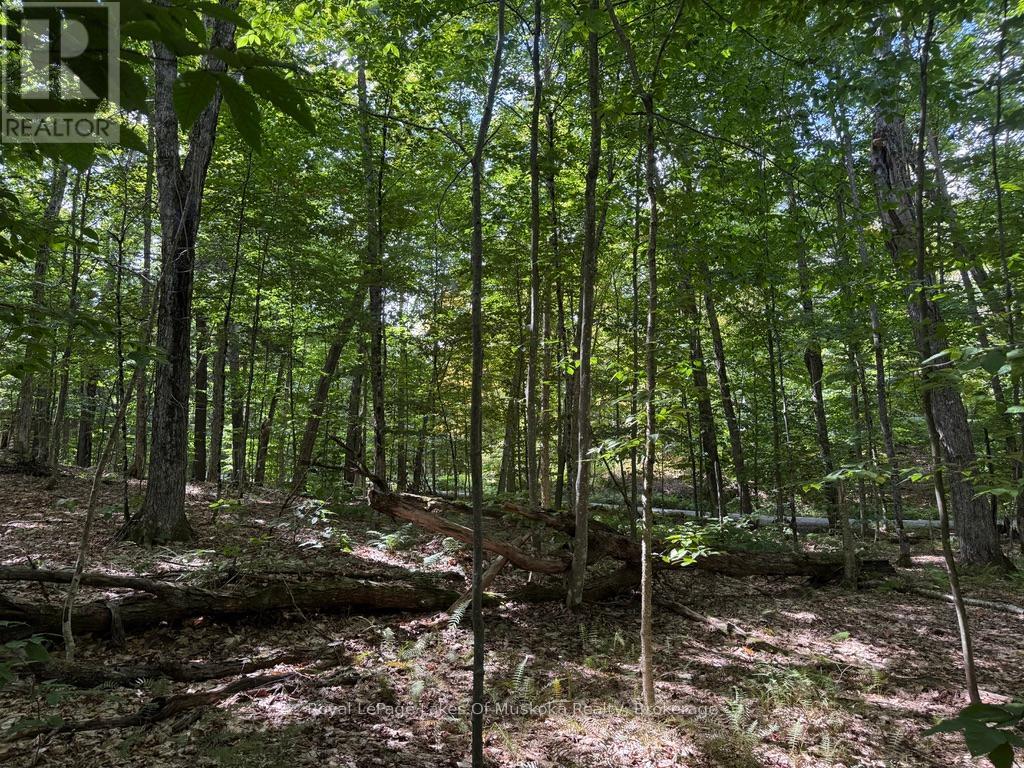 Lot 85 Brennan Circle, Huntsville, Ontario  P1H 2J2 - Photo 7 - X12384944