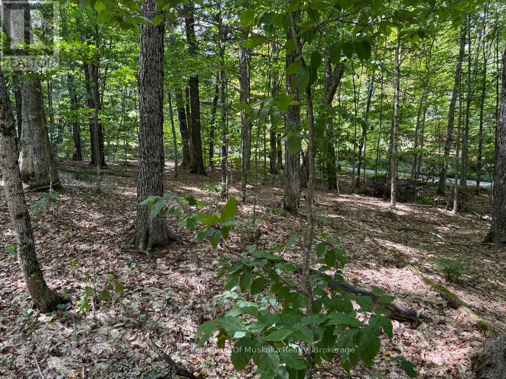 Lot 85 Brennan Circle, Huntsville, Ontario  P1H 2J2 - Photo 8 - X12384944